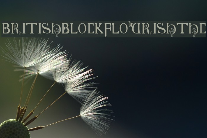British-Block-Flourish--10th-c- Font examples