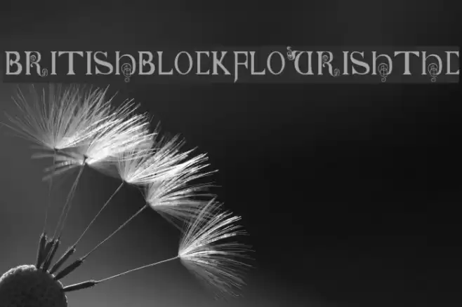British-Block-Flourish--10th-c- Font examples