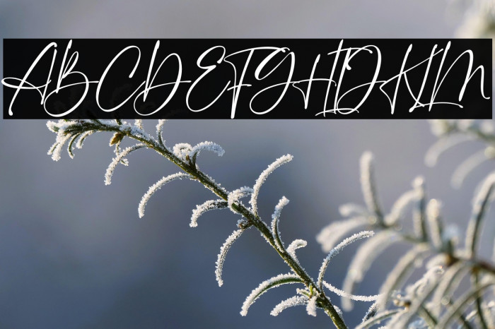 British Castilla Example 2