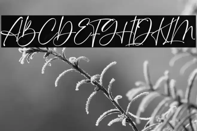 British Castilla Font examples