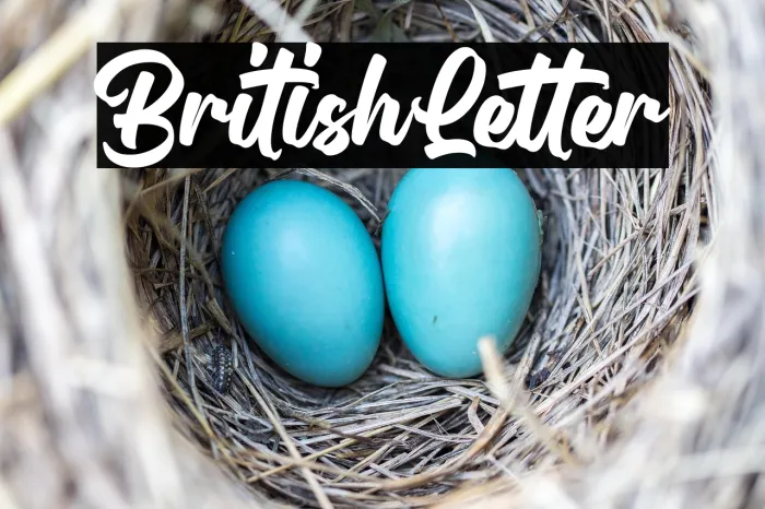 British Letter Example 1
