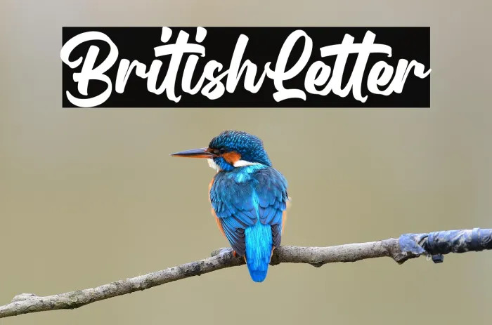 British Letter Example 3