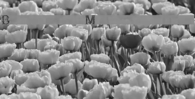 British Museum 1490 Font examples