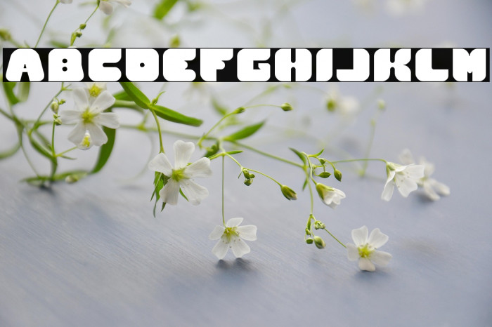 British Pop Music-Light Example 2