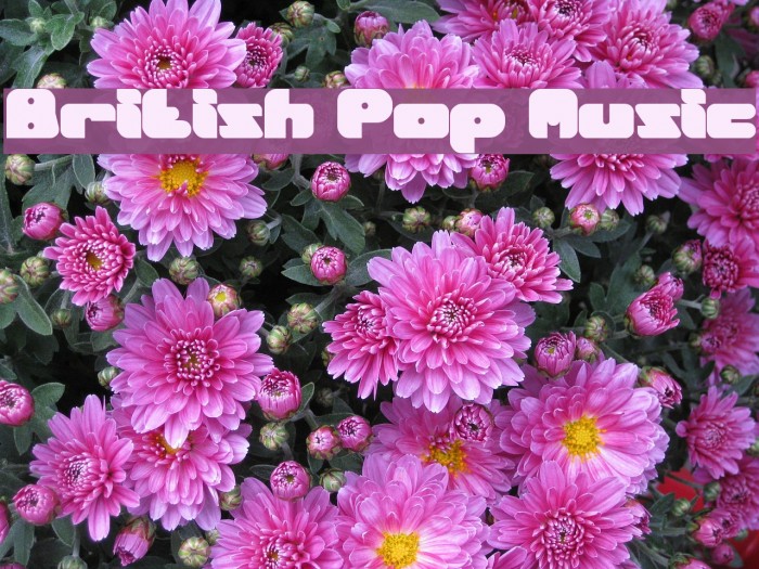 british-pop-music-font-ffonts