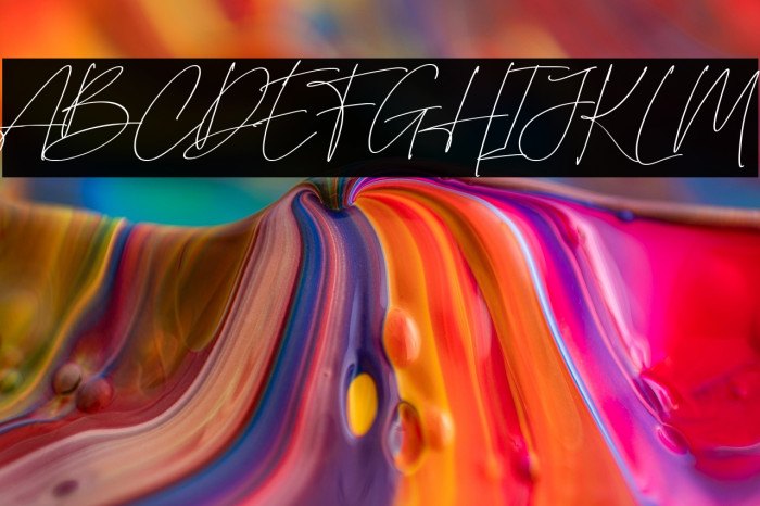 British Shorthair Example 2