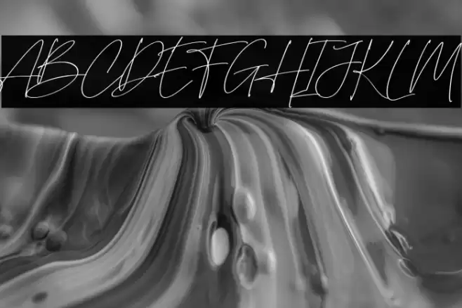 British Shorthair Font examples