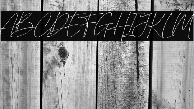 British Shorthair Font examples