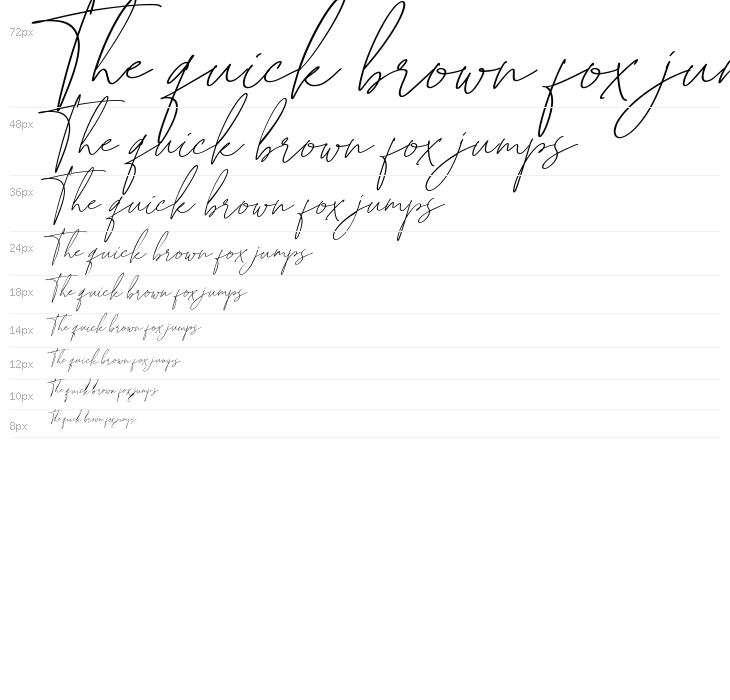 British Shorthair Waterfall