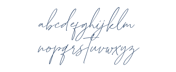 British Shorthair Lowercase