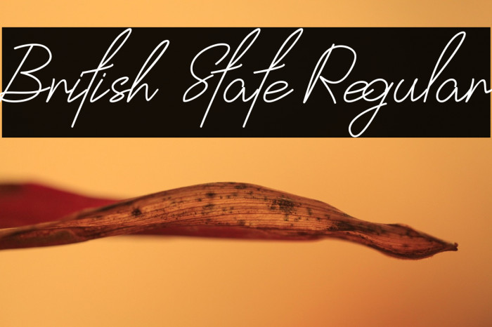 British State Regular Example 3