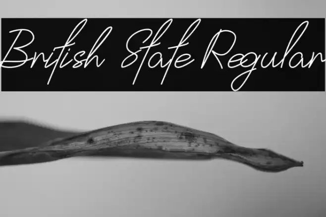 British State Regular Font examples