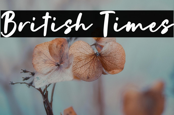 British Times Example 3