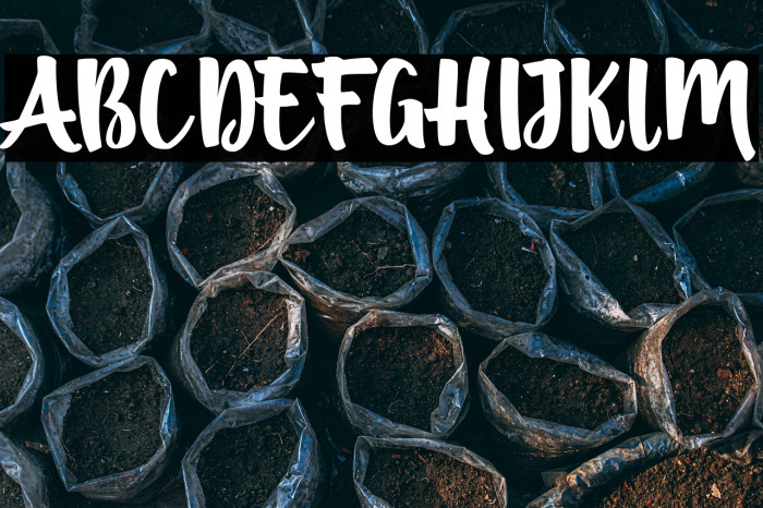 BritishScript Example 2