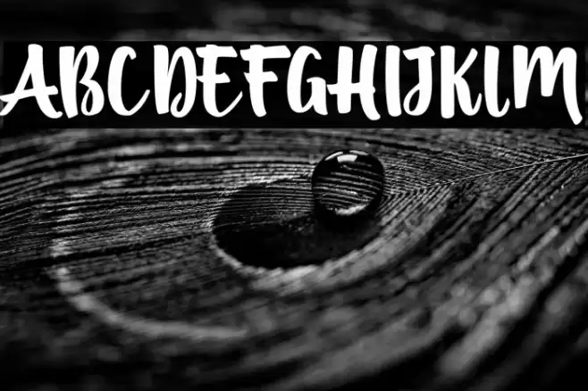 BritishScript Font examples