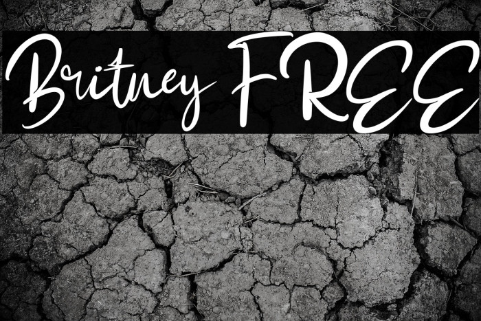 Britney FREE Example 2