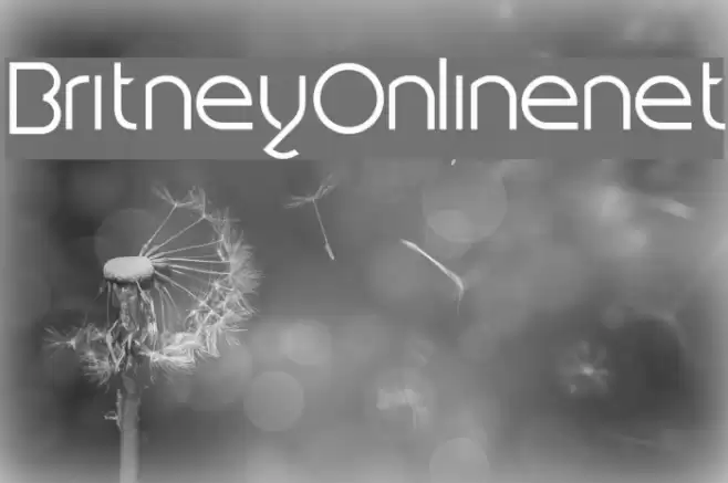 Britney-Online.net Fonte examples