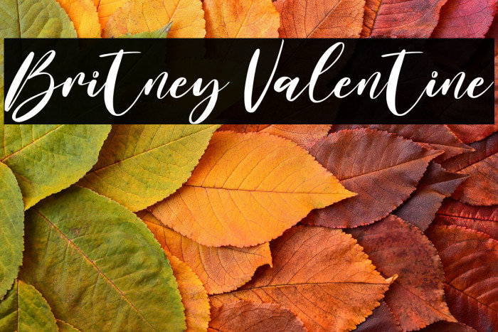 Britney Valentine Example 1
