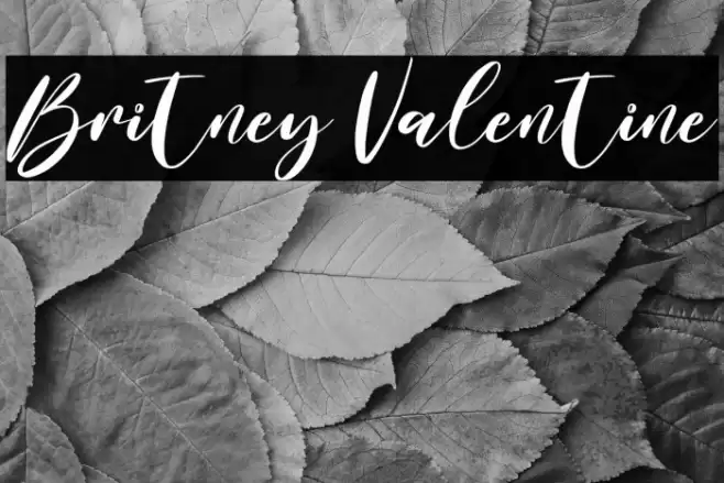 Britney Valentine Font examples