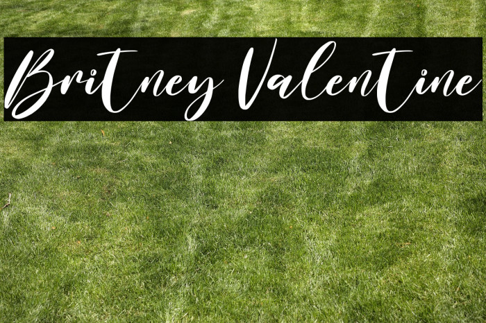 Britney Valentine Example 2