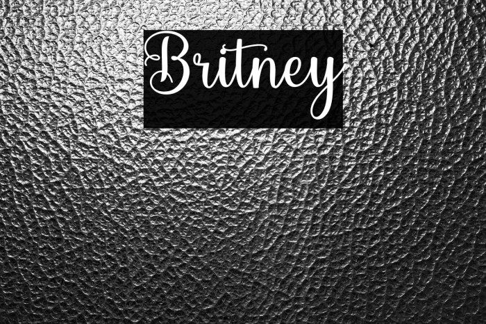 Britney Example 1