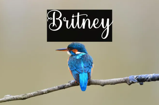 Britney Example 3