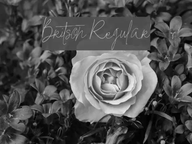 Britson Regular Font examples