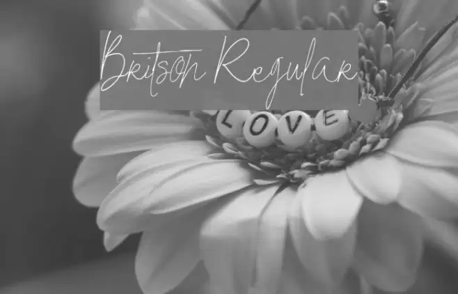 Britson Regular Font examples