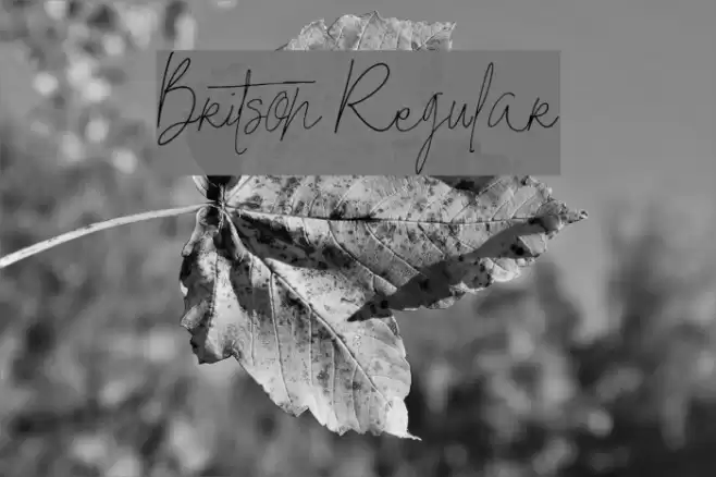 Britson Regular Font examples