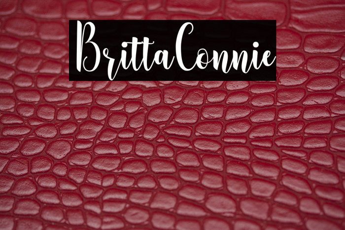 BrittaConnie Example 2