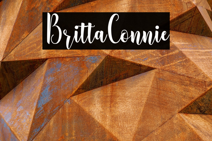 BrittaConnie Example 3