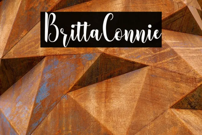 BrittaConnie Example 3