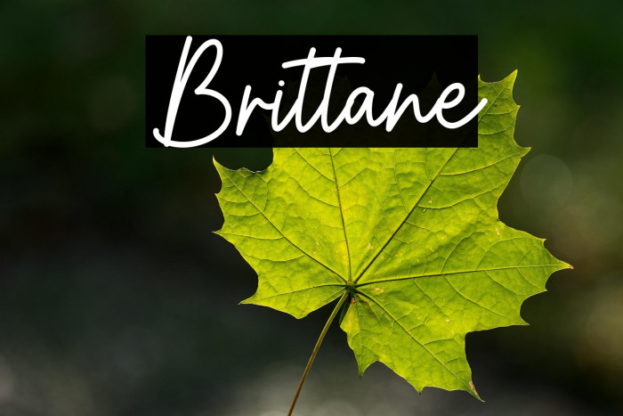 Brittane Example 2