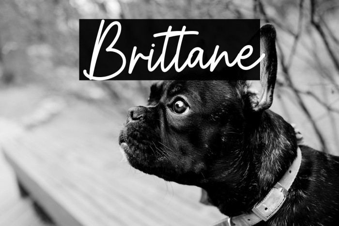Brittane Example 3