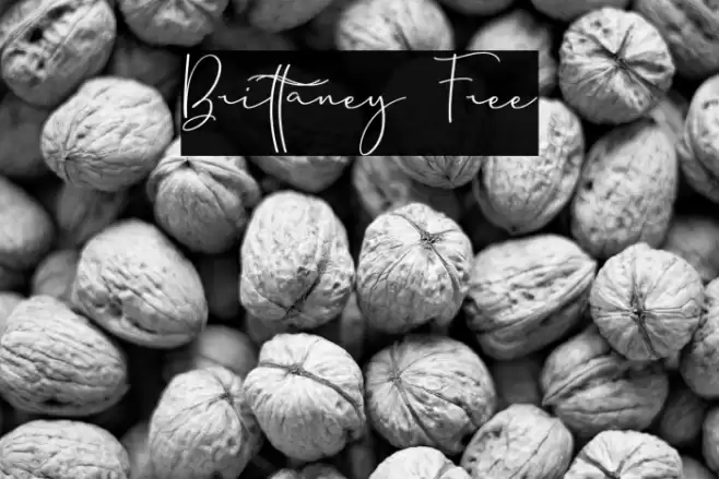 Brittaney Free Font examples