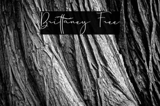 Brittaney Free Font examples