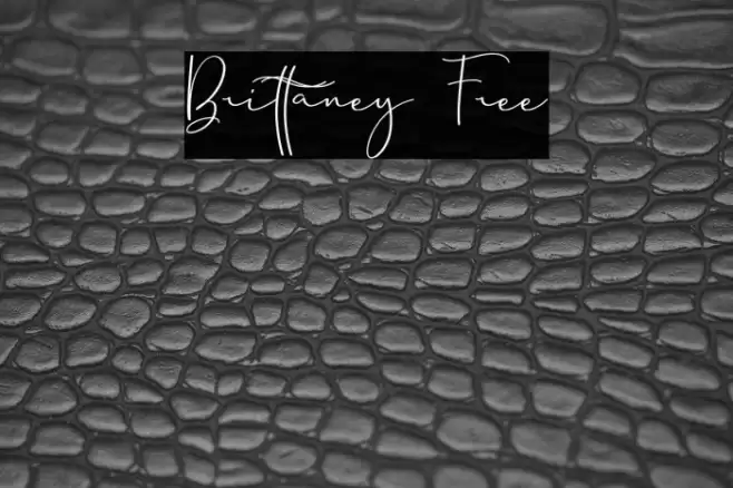 Brittaney Free Font examples