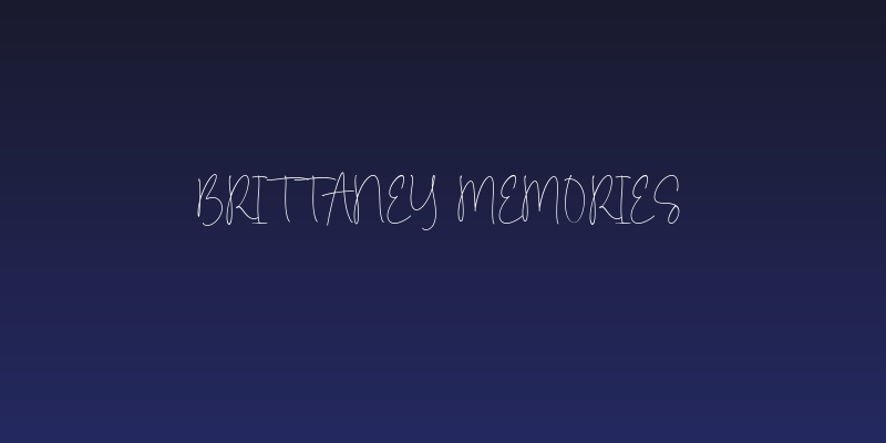 Brittaney Memories Social Header