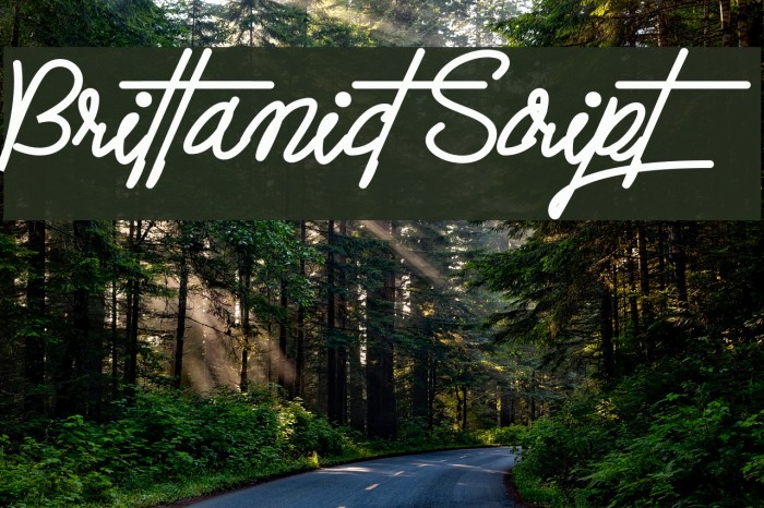 Brittanict Script Font examples