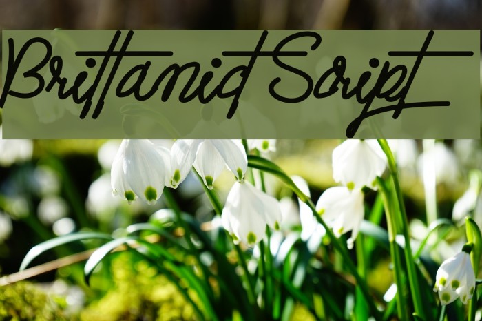 Brittanict Script Font examples