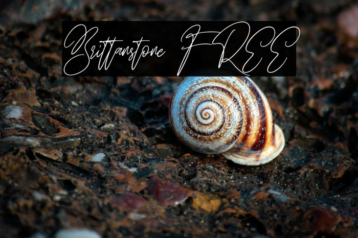 Brittanstone FREE Example 3