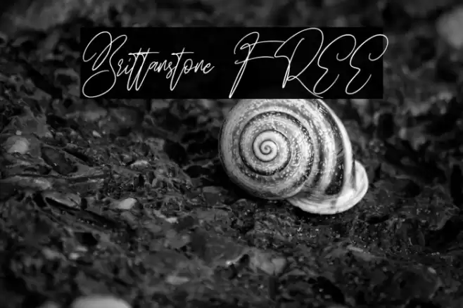 Brittanstone FREE Font examples