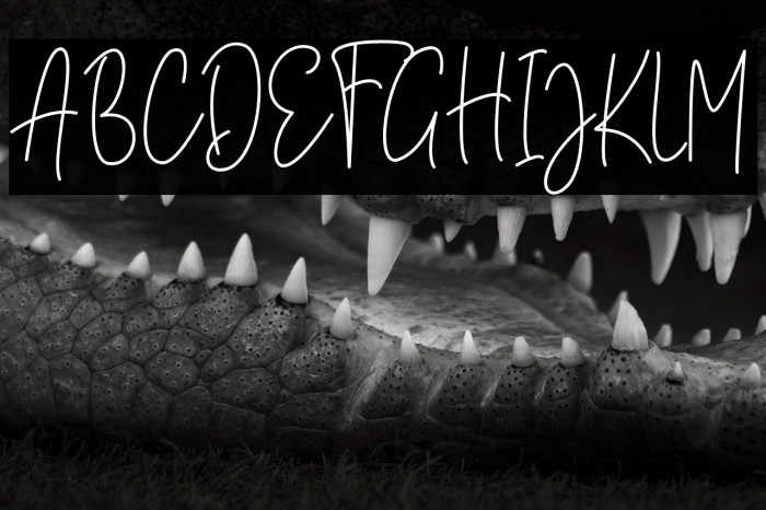 Brittany Amastry Example 1