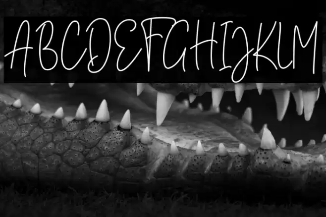 Brittany Amastry Font examples