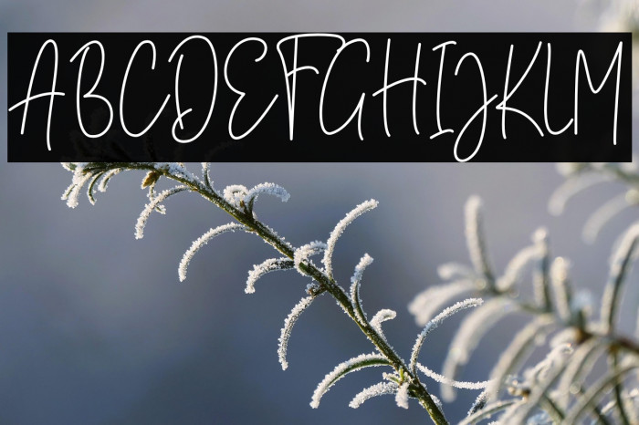 Brittany Amastry Example 2