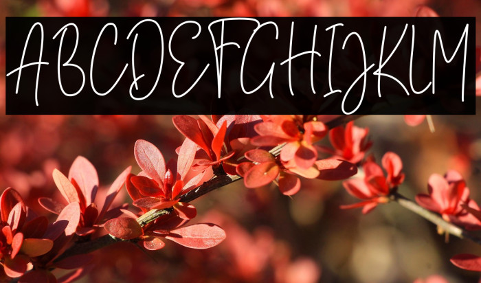 Brittany Amastry Example 3