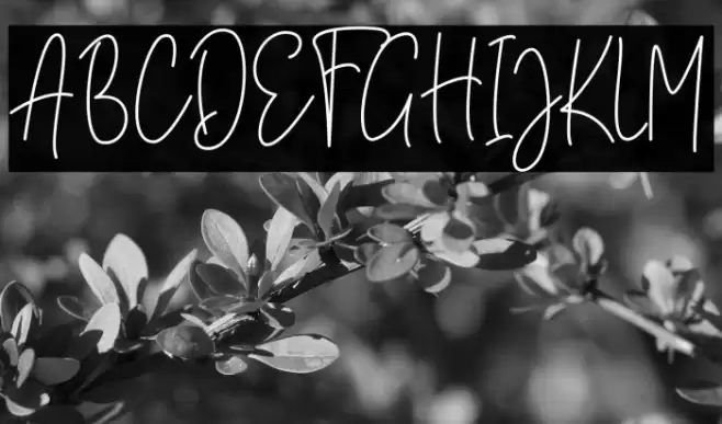 Brittany Amastry Font examples