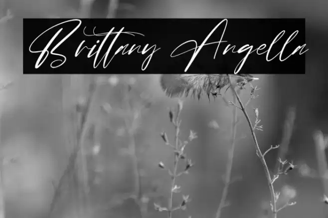 Brittany Angella Font examples