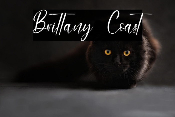 Brittany Coast Example 2