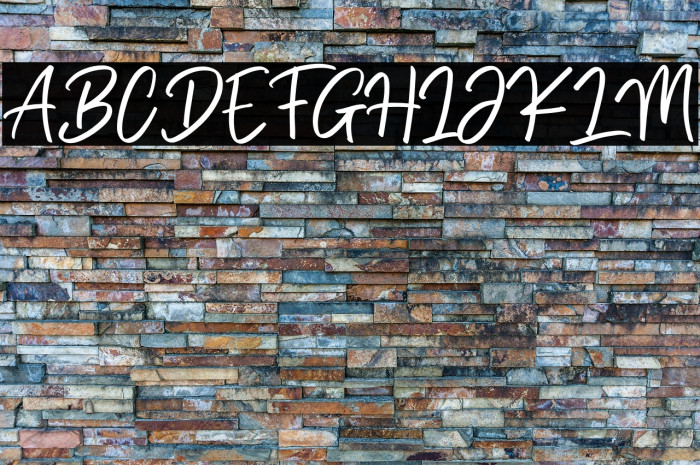 Brittany Golden Example 2